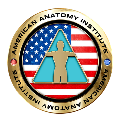 American Anatomy Institute