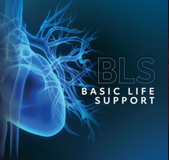 BLS – Basic Life Support